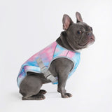 Dog Cooling Vest - Snow Cone