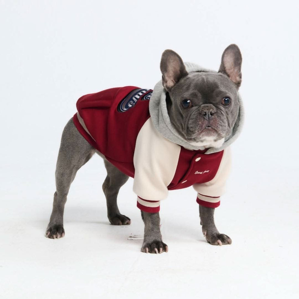 Dog Varsity Jacket - Red – SPARK PAWS
