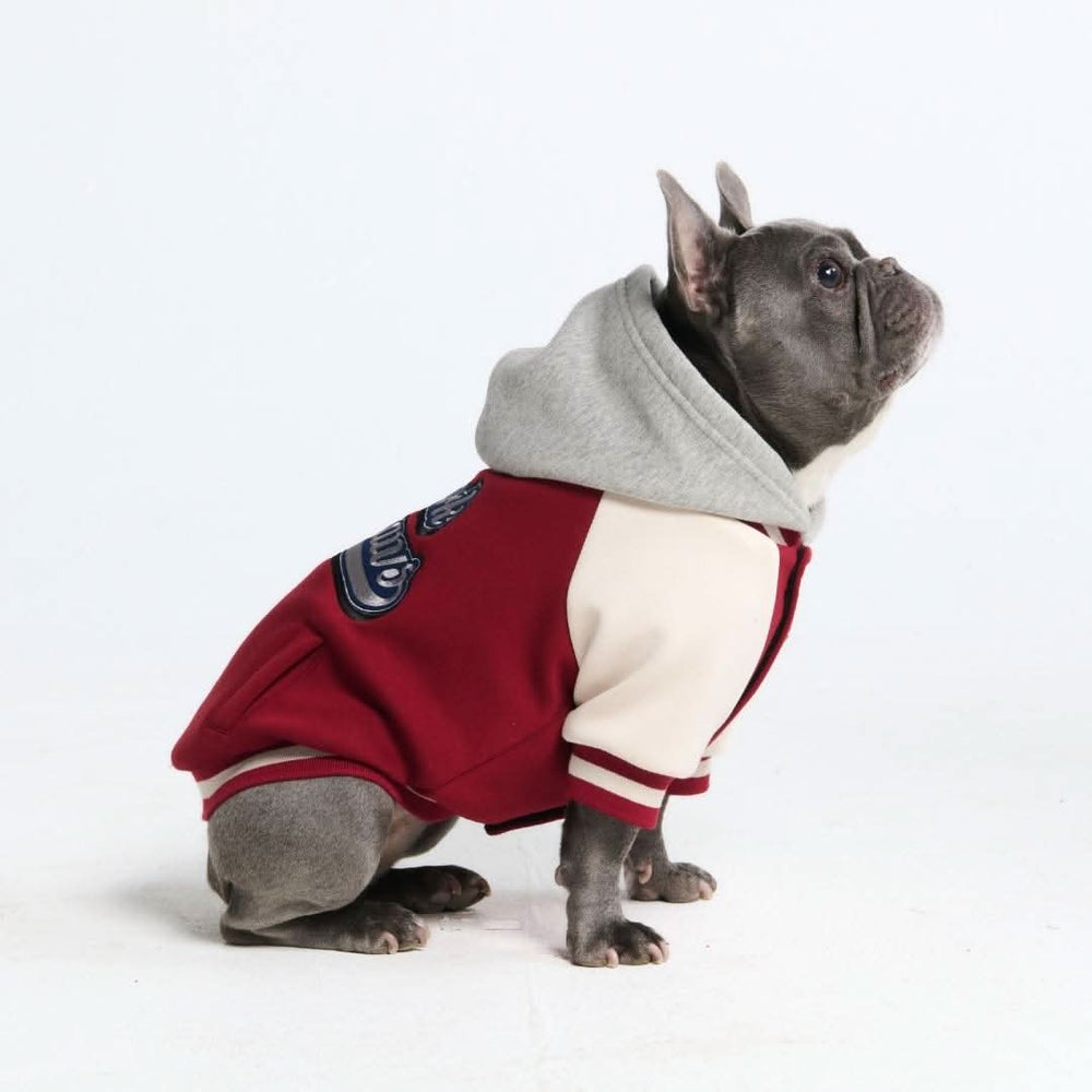 Dog Varsity Jacket - Red – SPARK PAWS