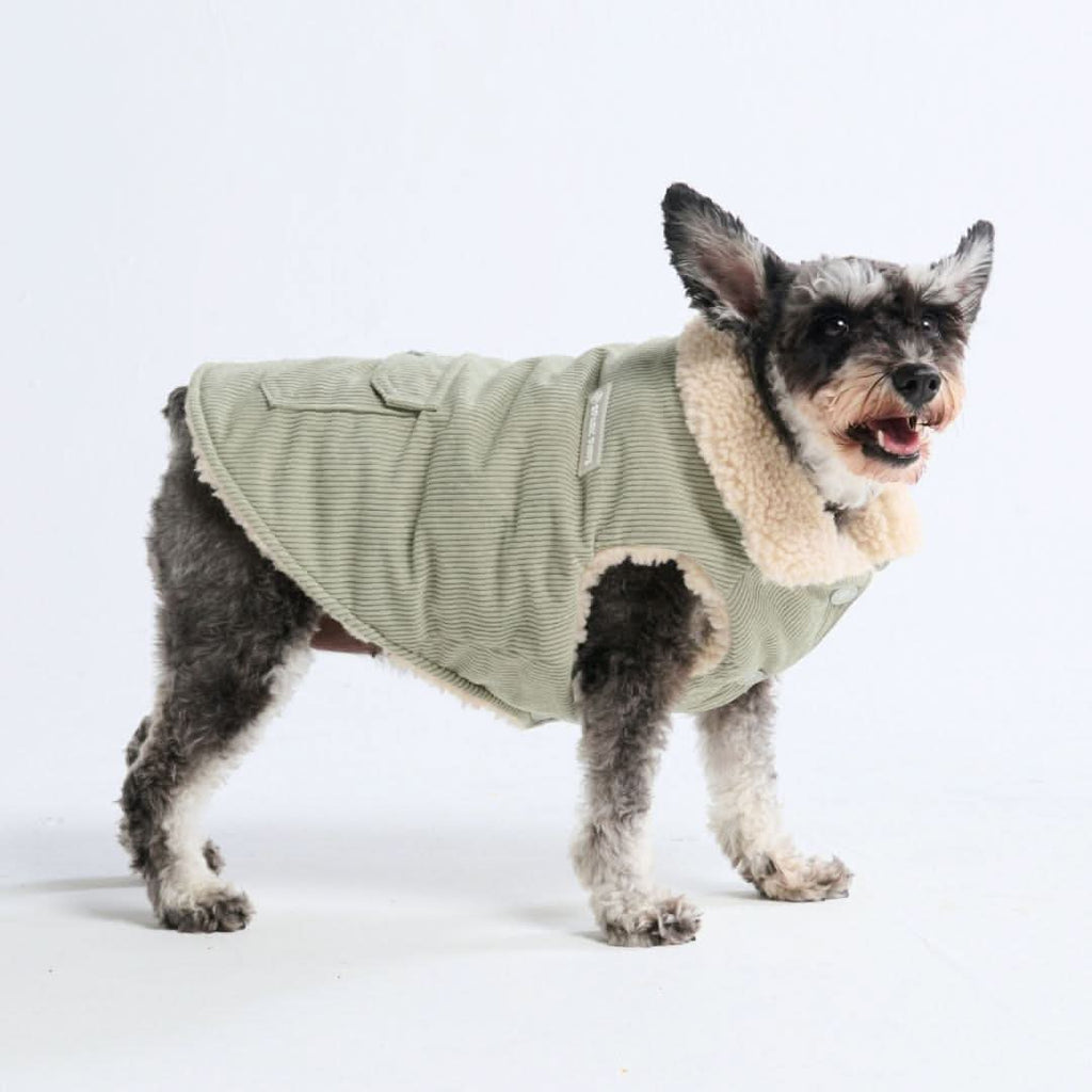 Beautiful view of Corduroy Dog Jacket With Reinforced Stitching For Durability