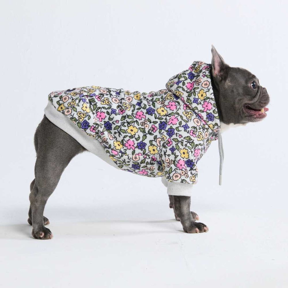 Vintage Flower Dog Hoodie - Light Grey – SPARK PAWS