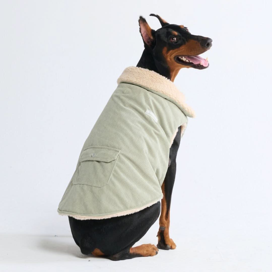 Corduroy Sherpa Fleece Dog Jacket Coat – SPARK PAWS - Corduroy Dog Jacket With Reinforced Stitching For Durability