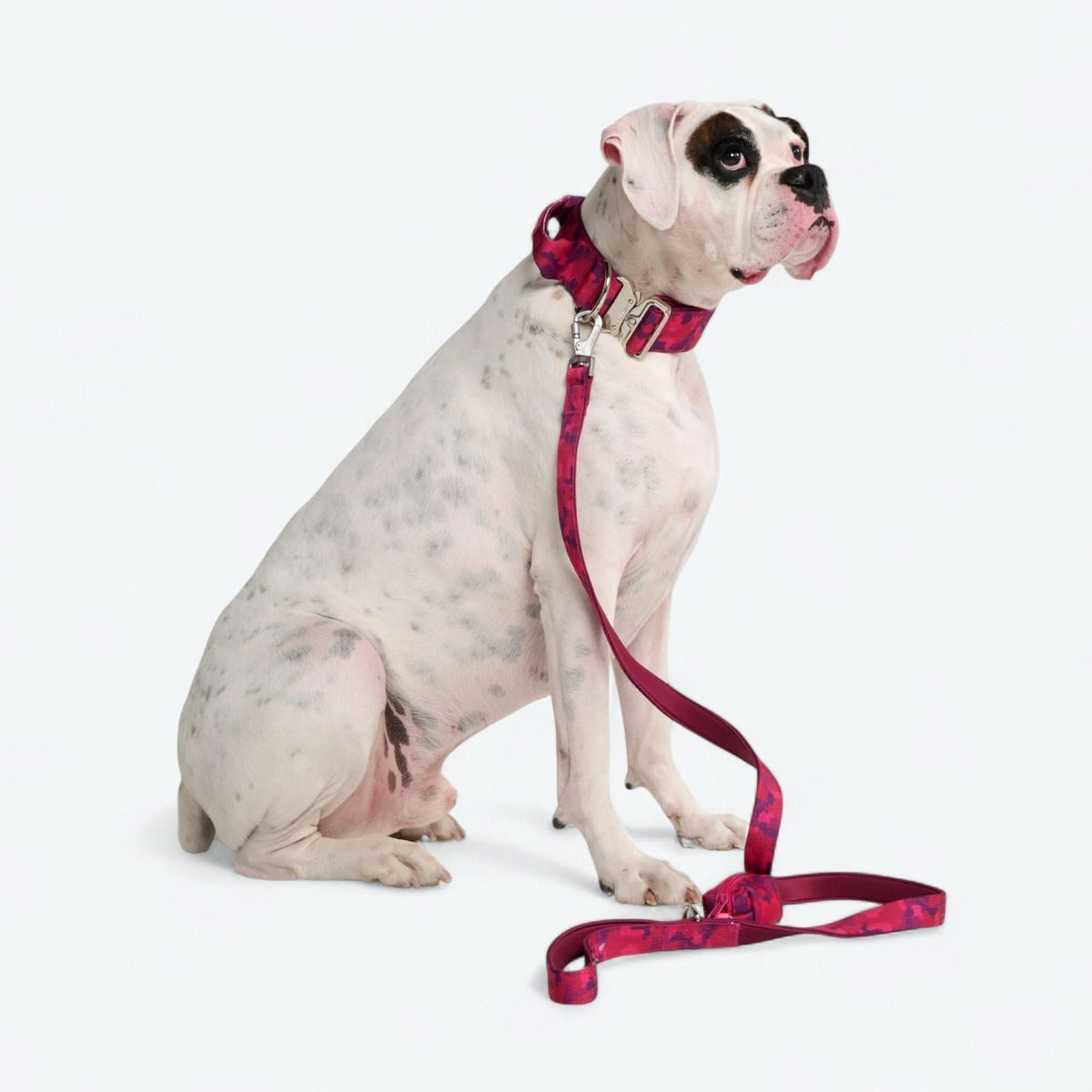 Comfort Control Collar - Fuchsia Camo – SPARK PAWS