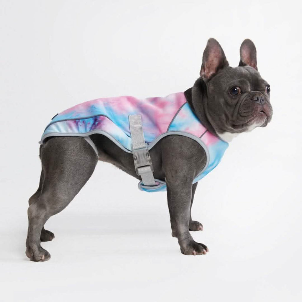 Evaporative Cooling Cooling Jacket For French Bulldog Dog Cooling