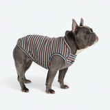 Black Coral Stripe Shirt