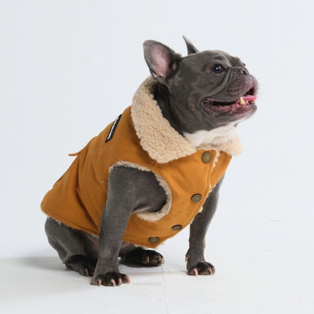 All-Terrain Duck Insulated Dog Jacket Coat – SPARK PAWS