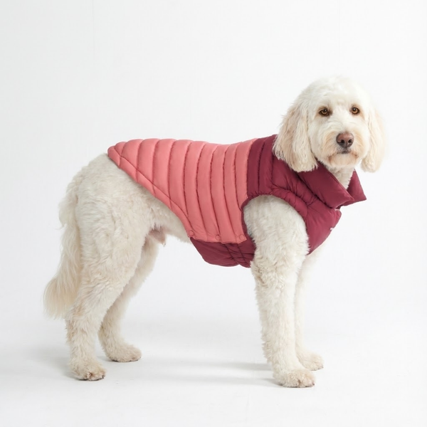 Puffshield_dog_winter_jacket