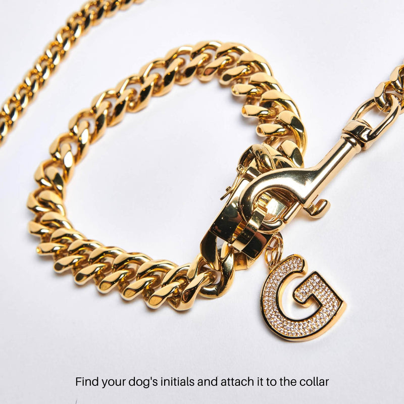 Gold Chain Dog Collar 20mm