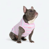 Purple Blue Stripe Shirt