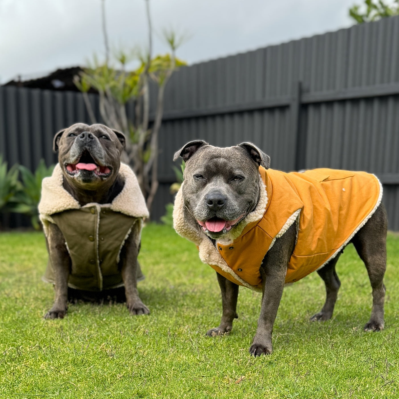 All Terrain Duck Insulated Dog Jacket Coat SPARK PAWS