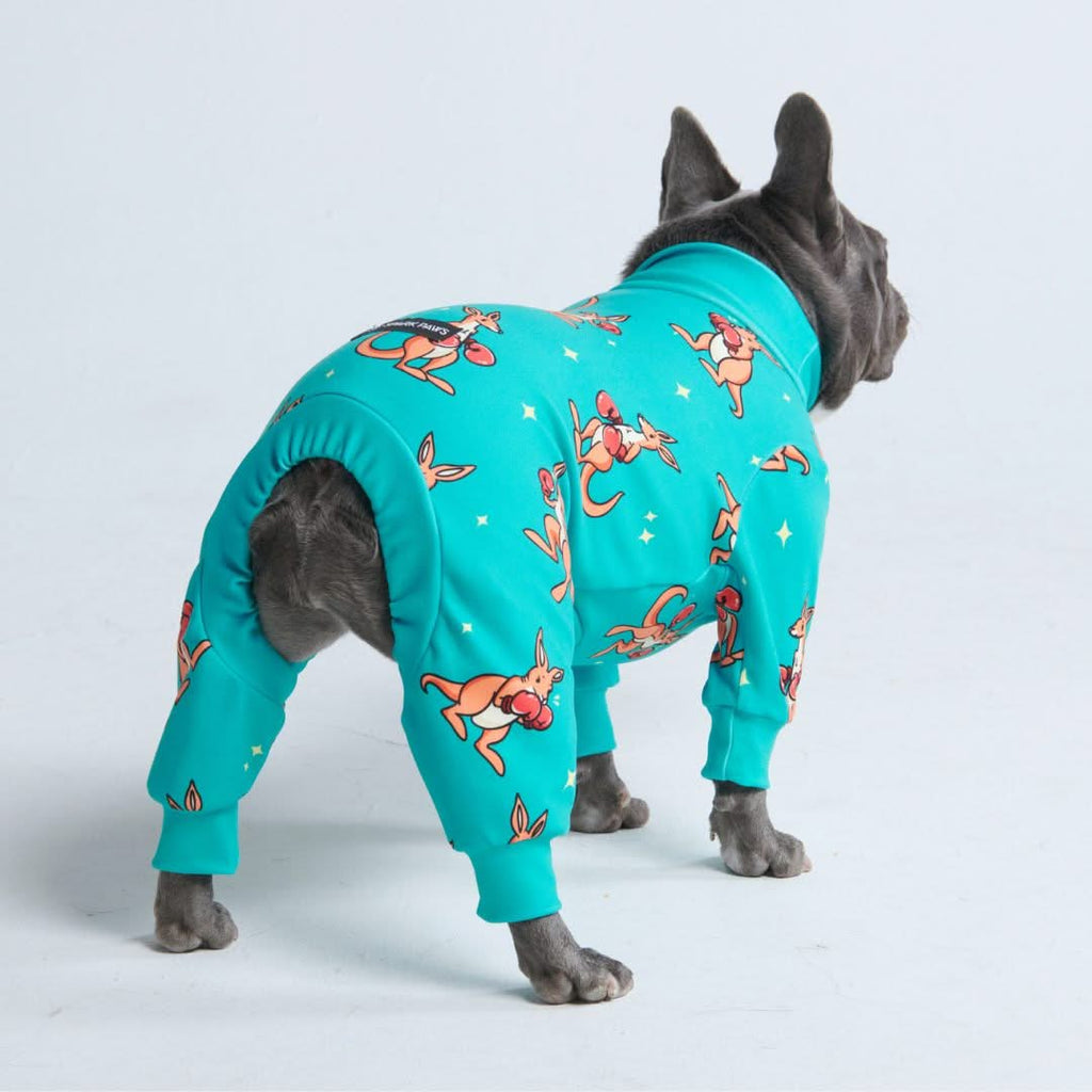 Dog Pajama Boxing Kangaroo Blue