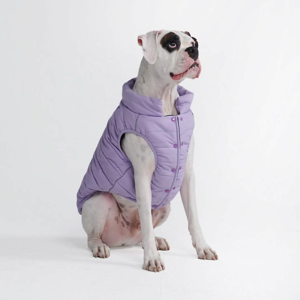 Manteau Pour Chien Rc Pets Jacket Cascade Jacket Fleece Lined