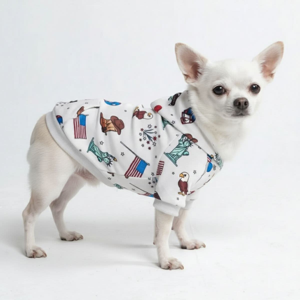パジャマパーティー　千棘　psa9 Around the World Dog Hoodies – SPARK PAWS