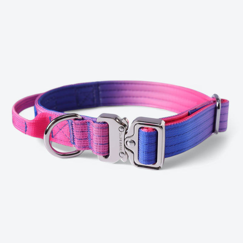 Comfort Control Collar - Snow Cone