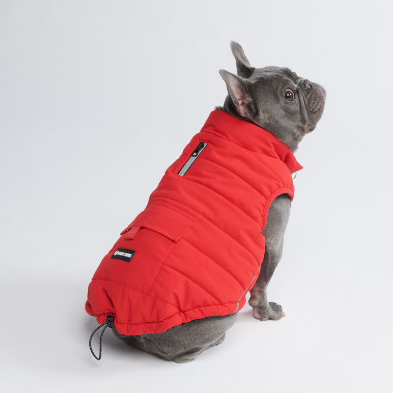 Red Warmshield Jacket||size:L,XL