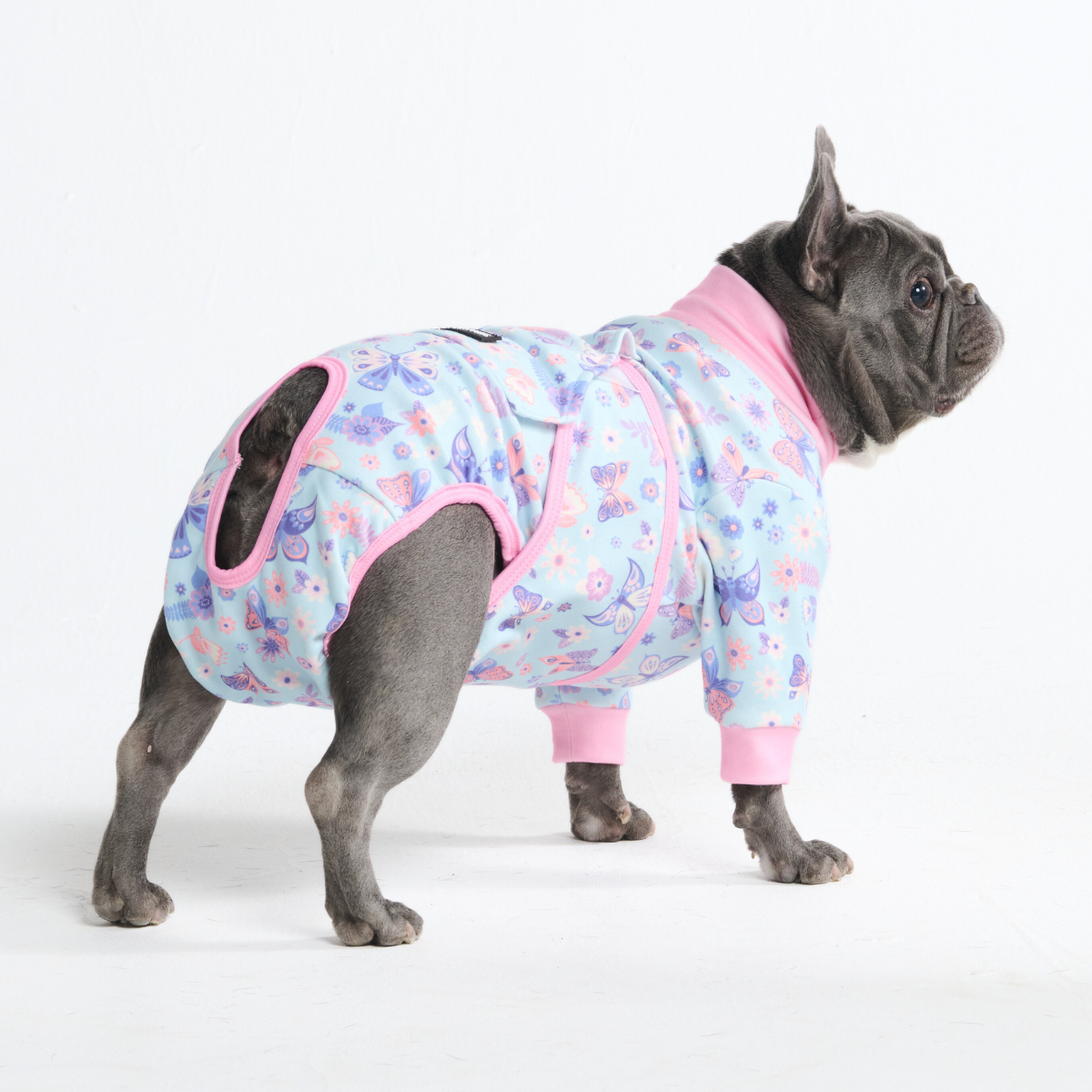 Dog Surgical Suit - Butterfly – SPARK PAWS