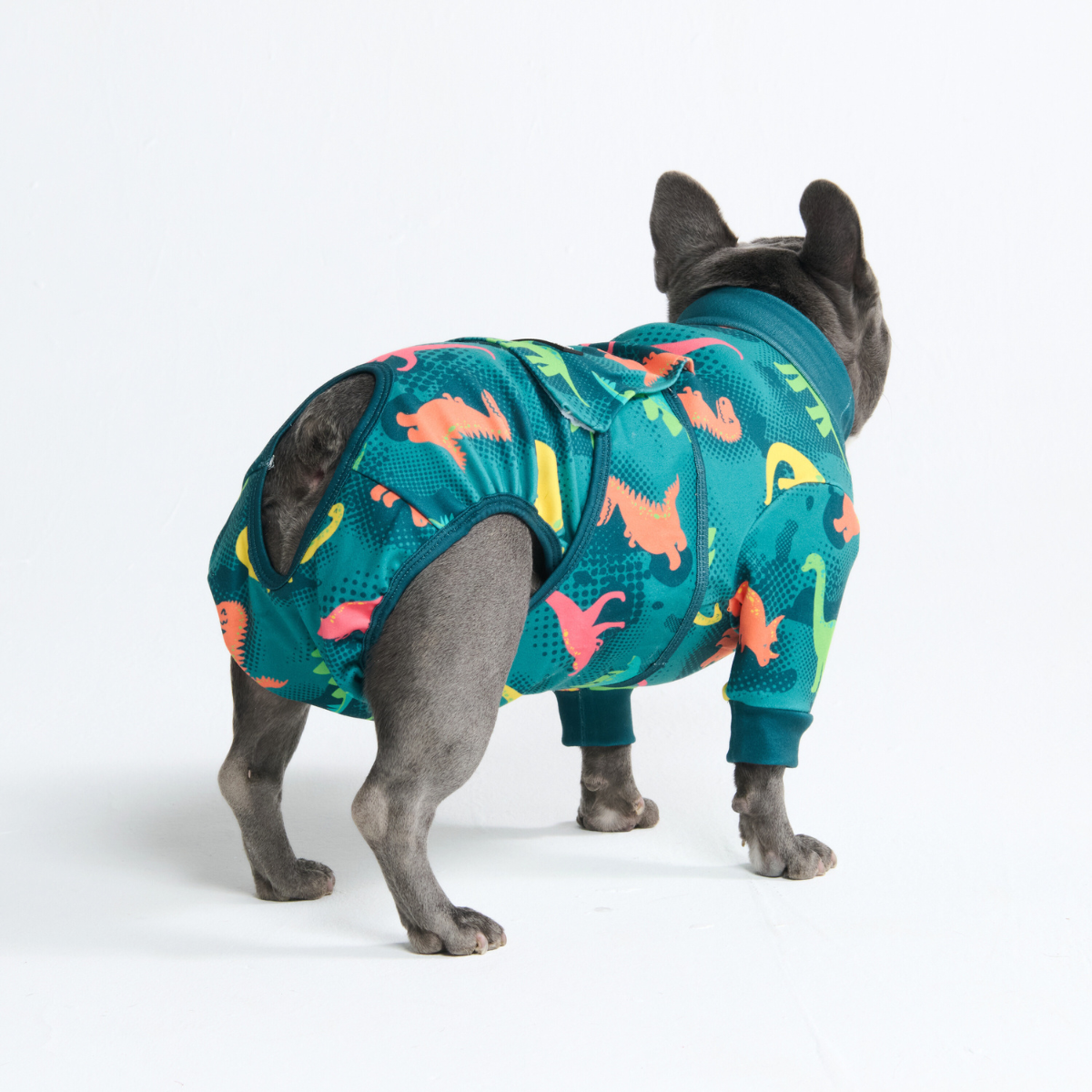 Dog Surgical Suit – SPARK PAWS