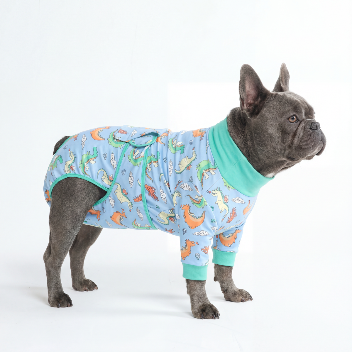 Dog Surgical Suit - Dragons – SPARK PAWS