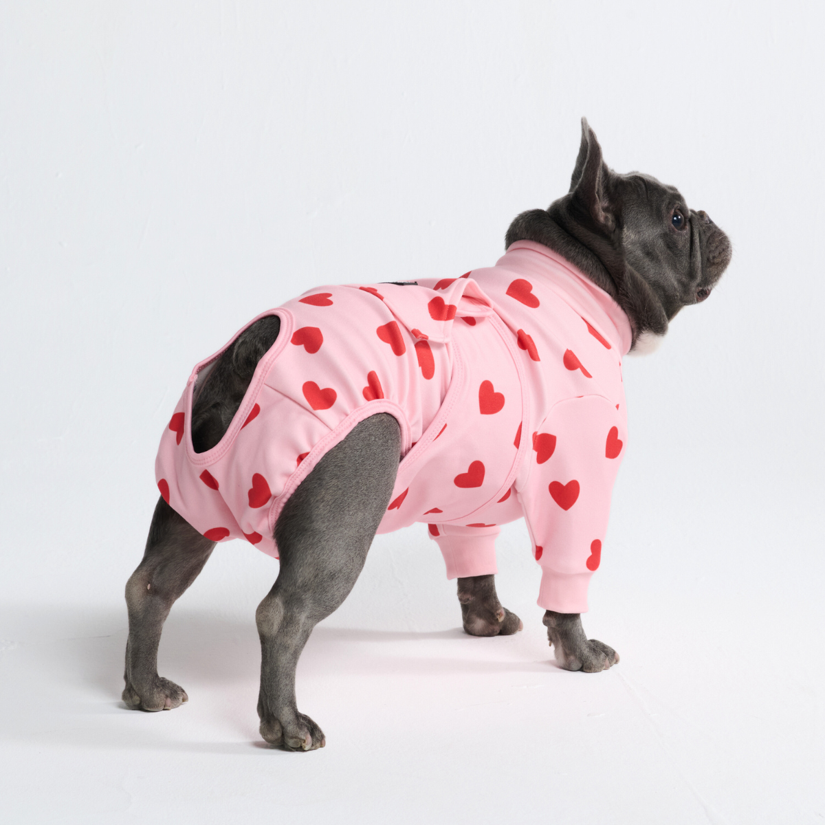Dog Surgical Suit - Pink Hearts – SPARK PAWS