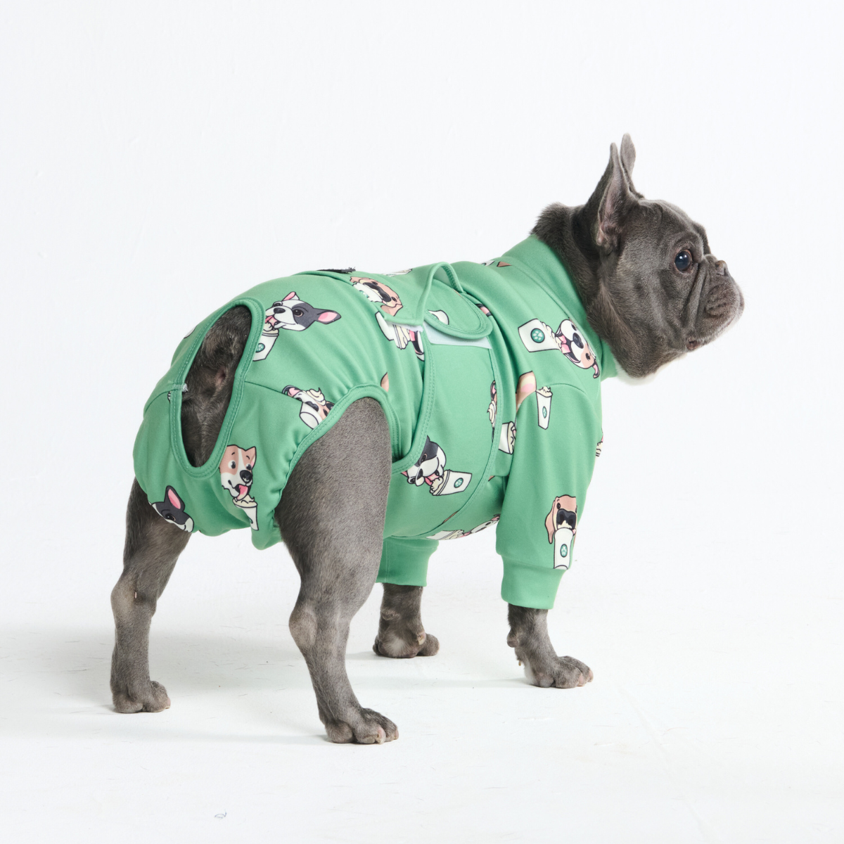 Dog Surgical Suit - Pup Cup – SPARK PAWS