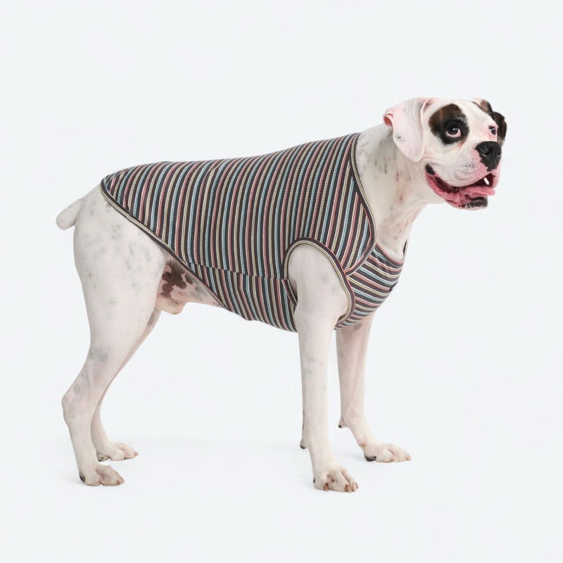 Black Coral Stripe Shirt