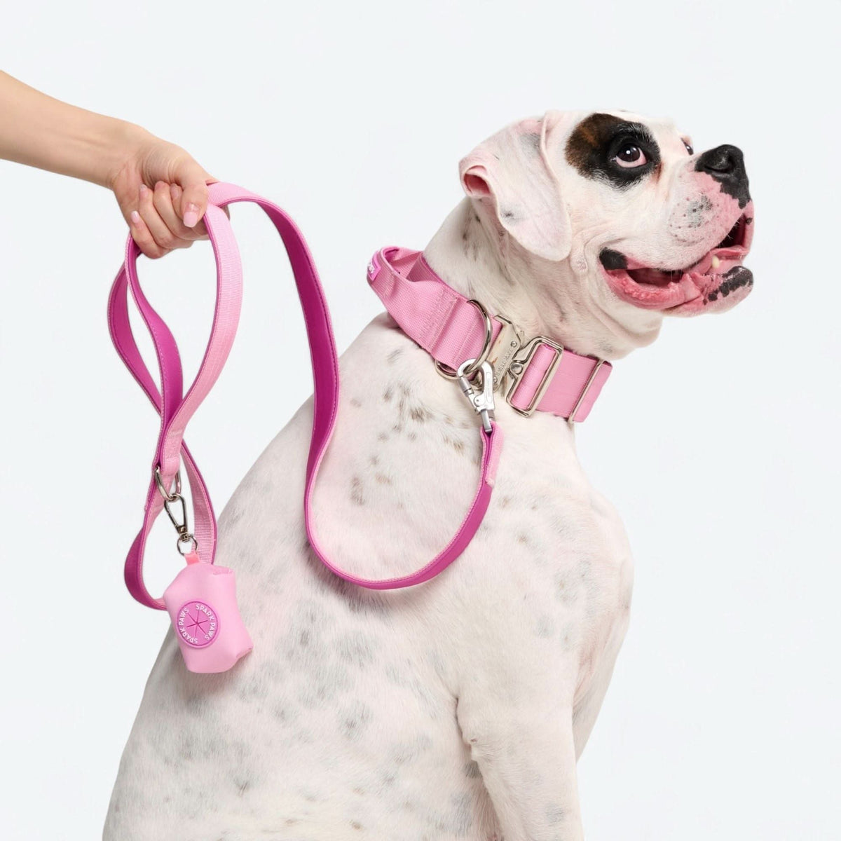 Leash and Poop Bag Holder Set – SPARK PAWS