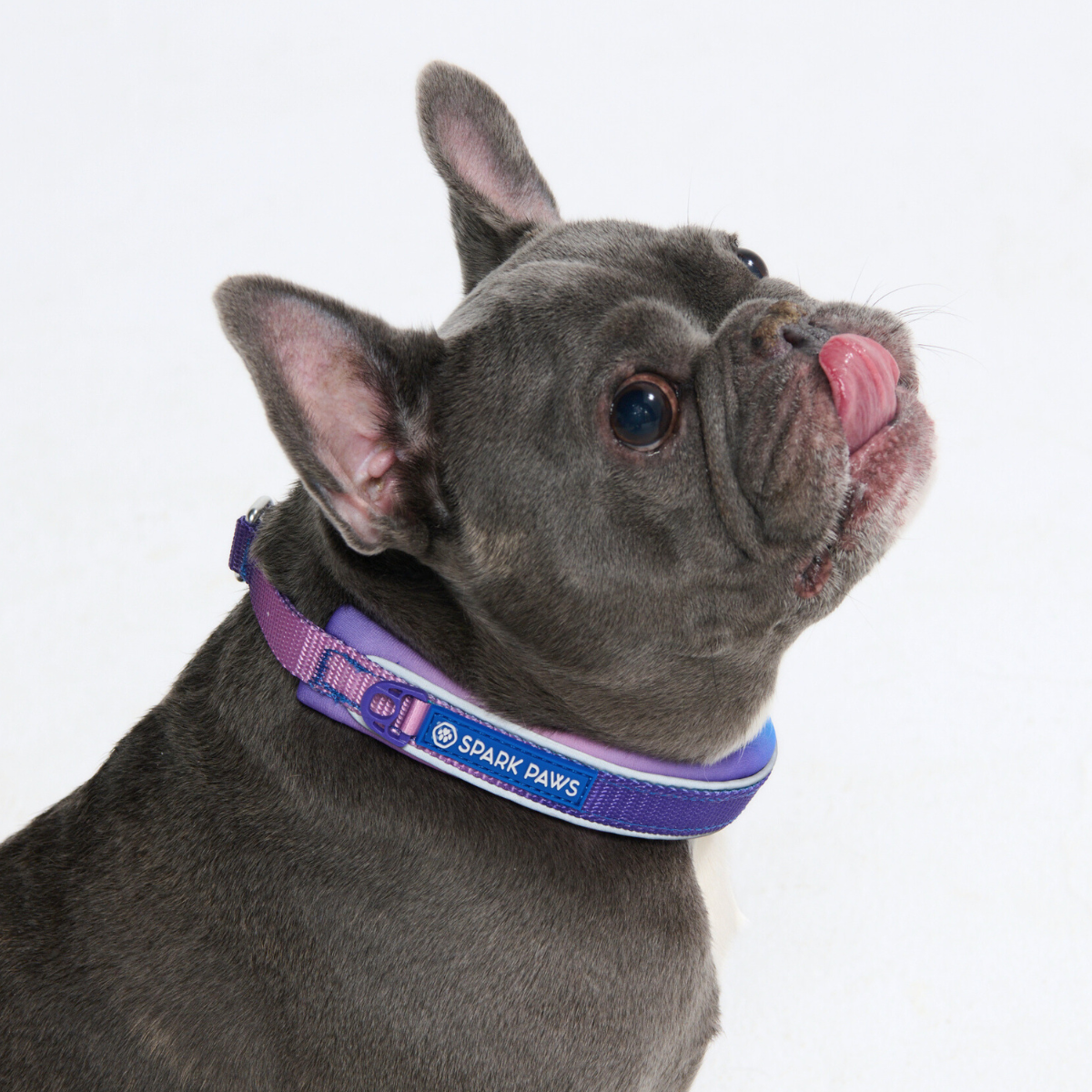 Cushioned Martingale Collar