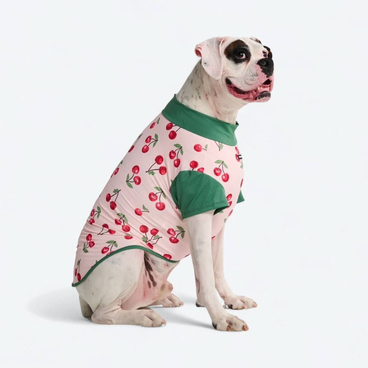 Sunblock Shirt - Cherries – SPARK PAWS