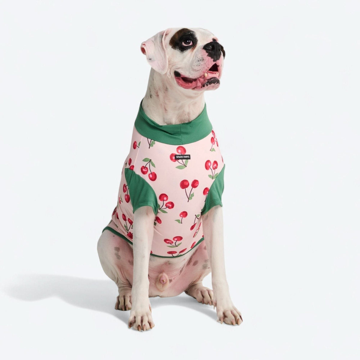 Sunblock Shirt - Cherries – SPARK PAWS