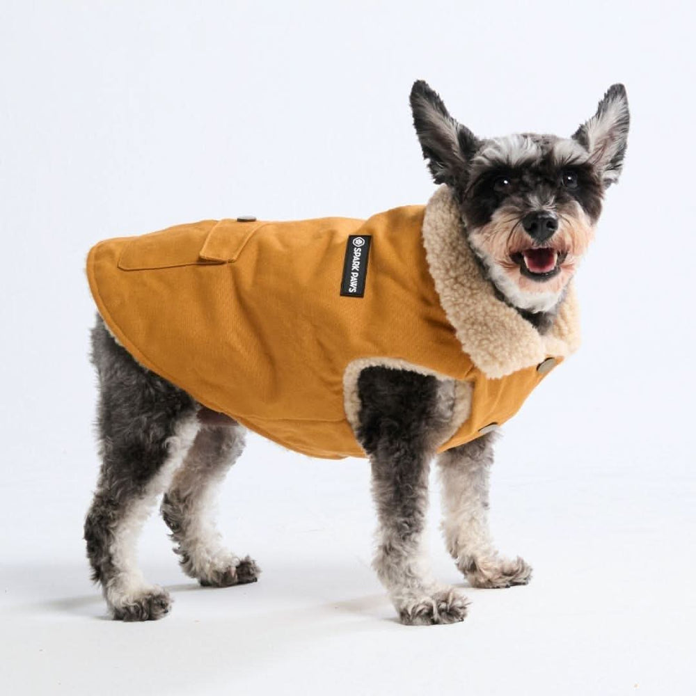 All-Terrain Duck Insulated Dog Jacket Coat – SPARK PAWS
