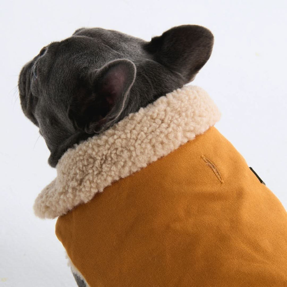 All-Terrain Duck Insulated Dog Jacket Coat – SPARK PAWS