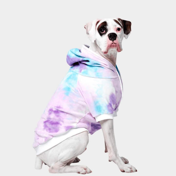 H And M Dog Clothes: Stylish Outfits for Your Pet