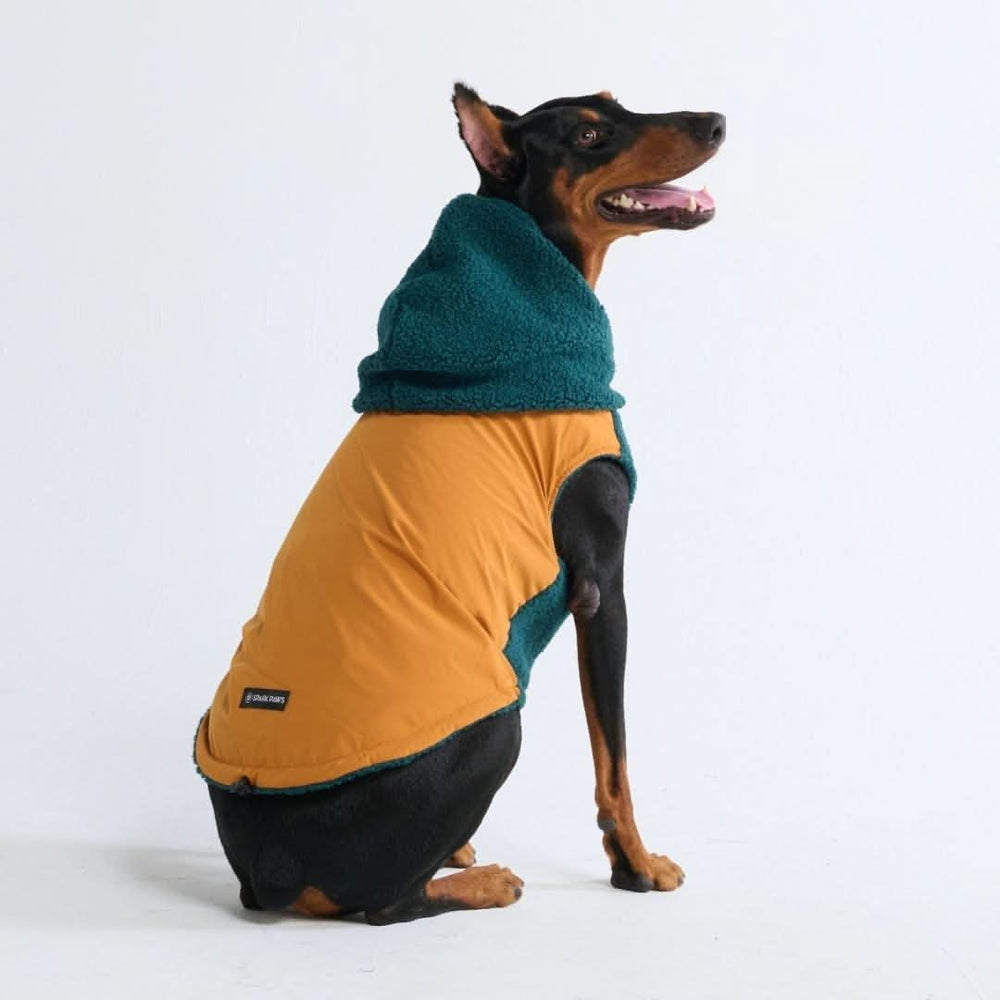 DOGDEPT リバーシブルジャンバー Reversible Dog Jacket - Green and Orange – SPARK PAWS