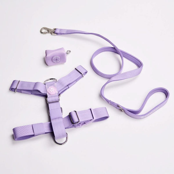 Comfort Control No-Pull Dog Harness Set - Lilac – SPARK PAWS