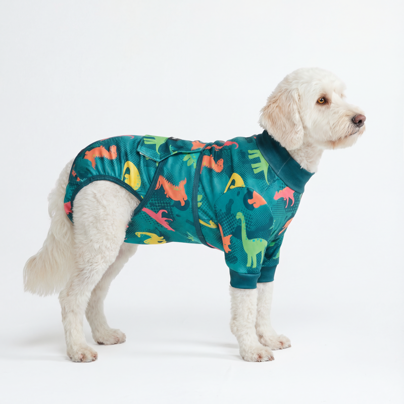 Dog Surgical Suit - Dinosaurs – SPARK PAWS