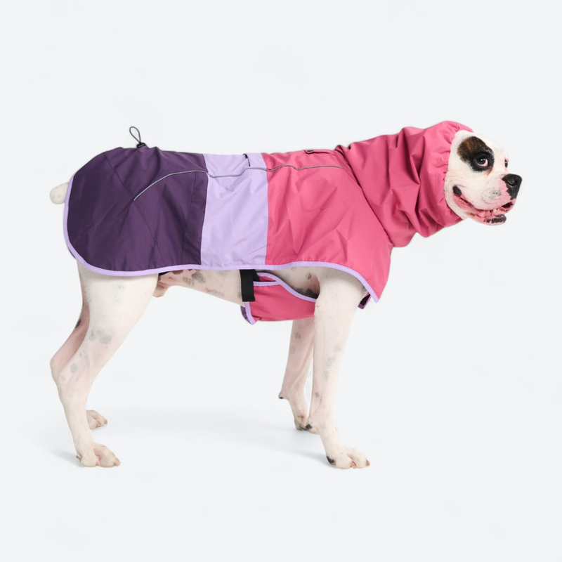 Breatheshield™ Dog Raincoat - Pink Lilac Purple - 3XL