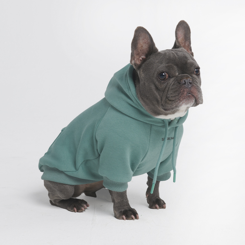 Essential Teal Hoodie||size:XL