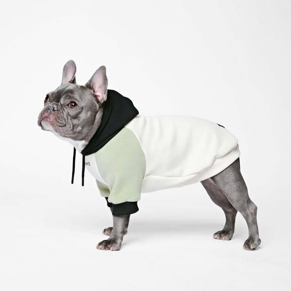 トップス convenience young running dogs sweat Olive Cream Dog Hoodie – SPARK PAWS