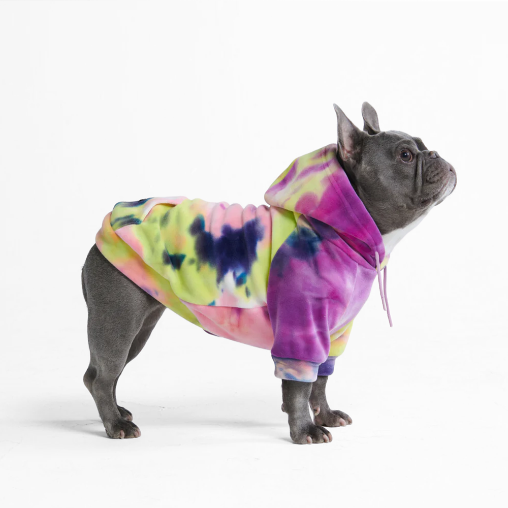 Matching Human and Dog Apparel – SPARK PAWS