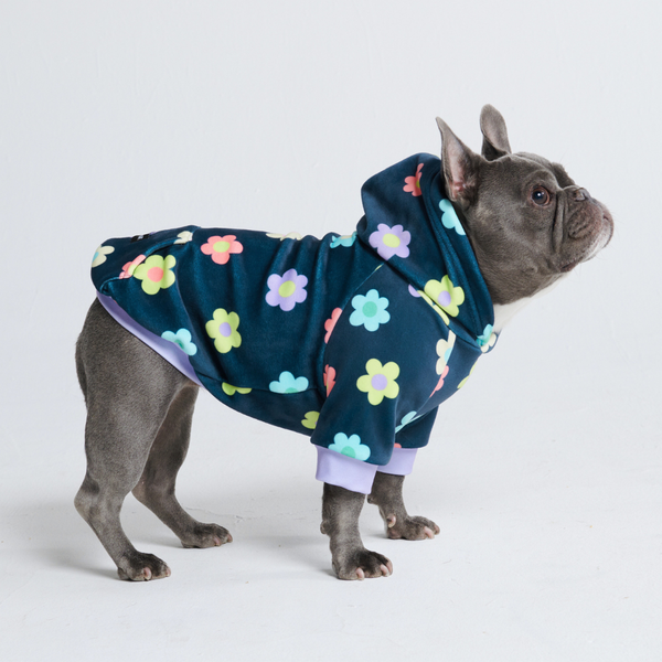 Dogs clothes store hot sale