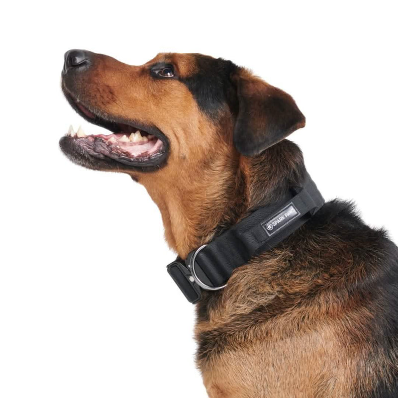 South Africa S1 User Manual Pet Gps Collar Little Live Pets