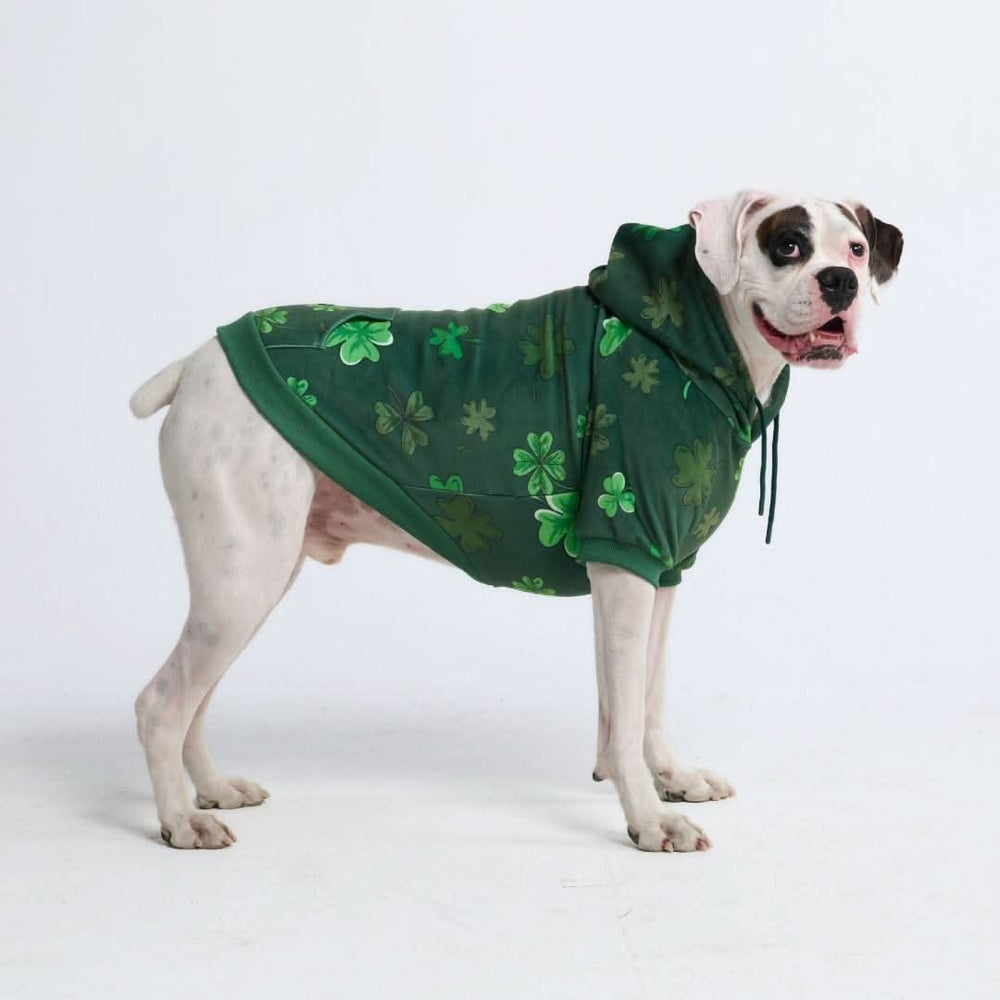 St. Paddy's Dog Hoodie - Dark Green (Limited Edition) – SPARK PAWS