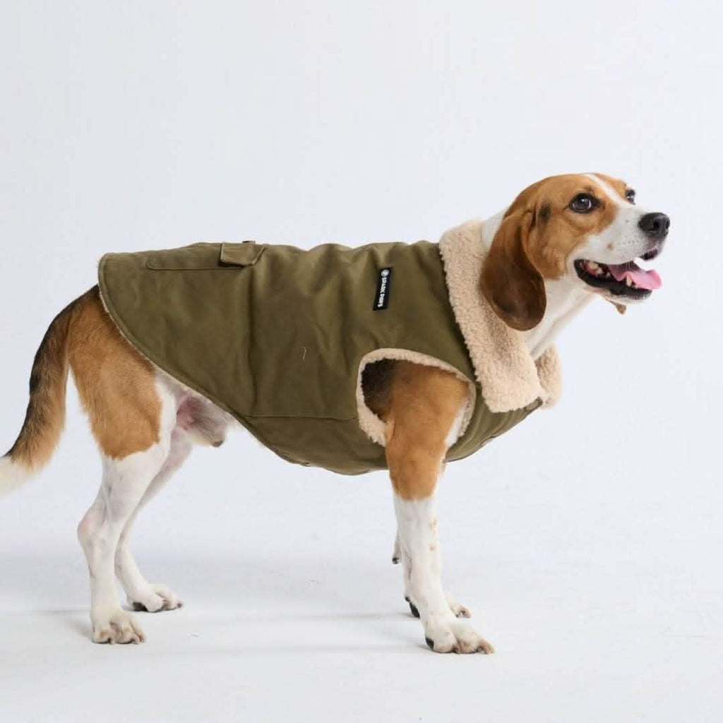 All-Terrain Duck Insulated Dog Jacket Coat – SPARK PAWS