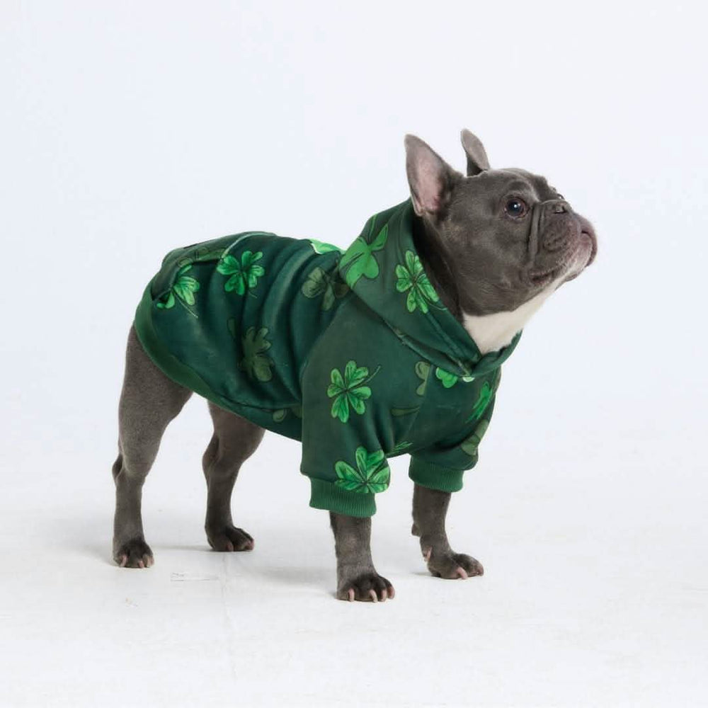St. Paddy's Dog Hoodies (Limited Edition) – SPARK PAWS