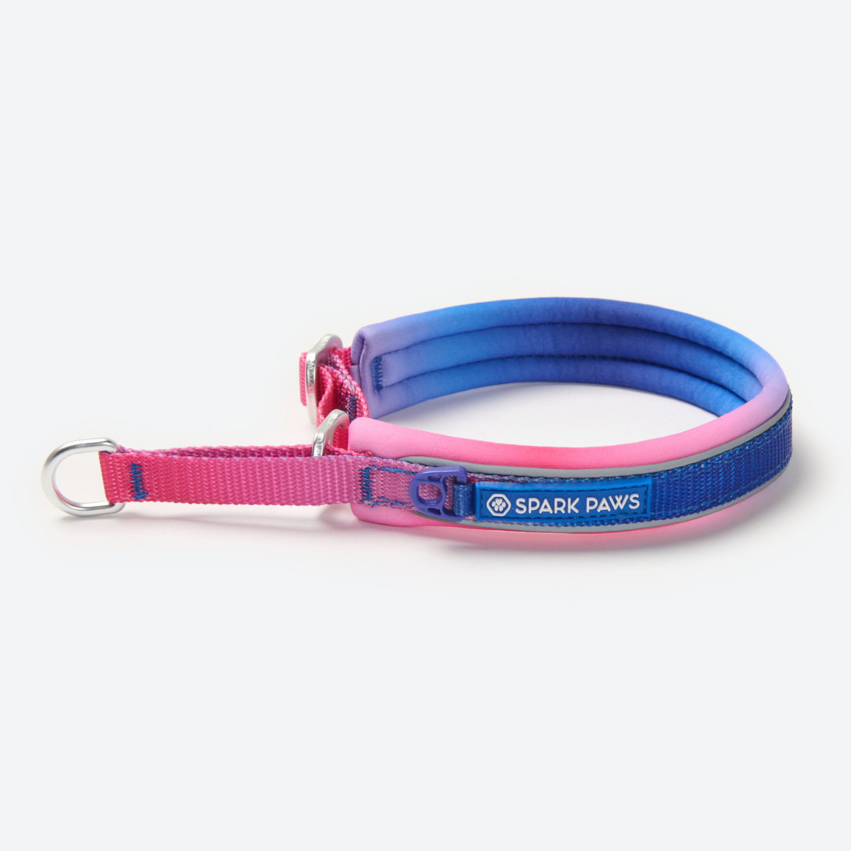 Perfect Dog Command Collar – Adjustable, High Quality, Silver/Blue (Unisex, Any Size)