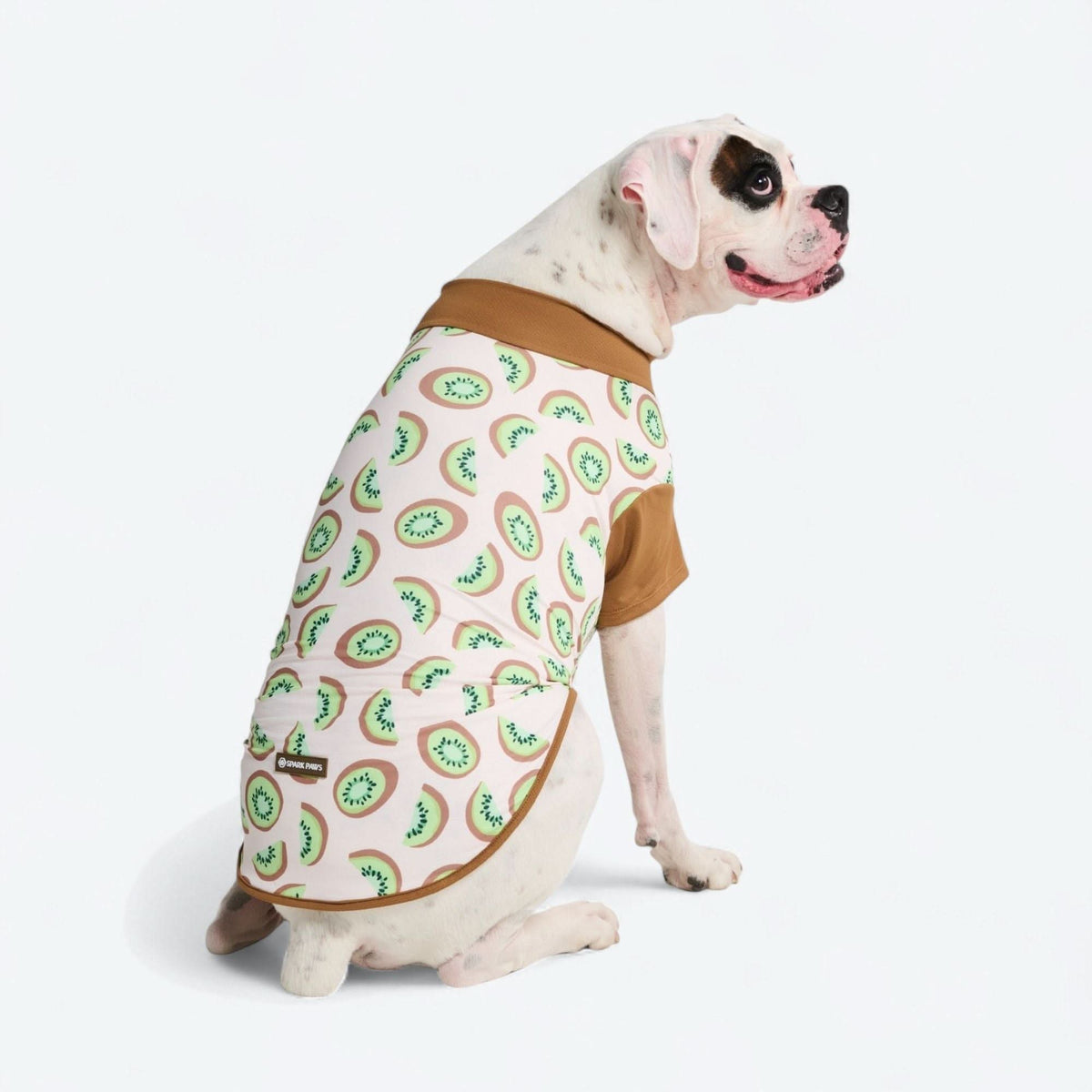 Sunblock Shirt - Kiwi – SPARK PAWS