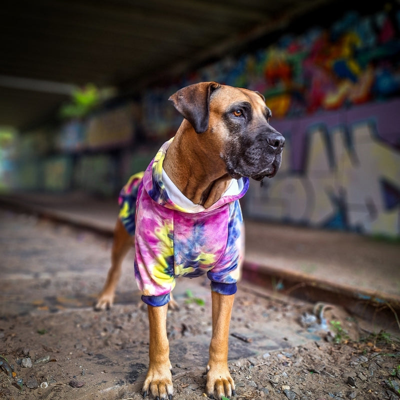 Velvet Dog Hoodie - Berry Lemonade – SPARK PAWS