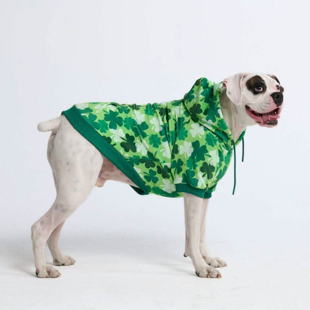 Matching Human and Dog Apparel – SPARK PAWS