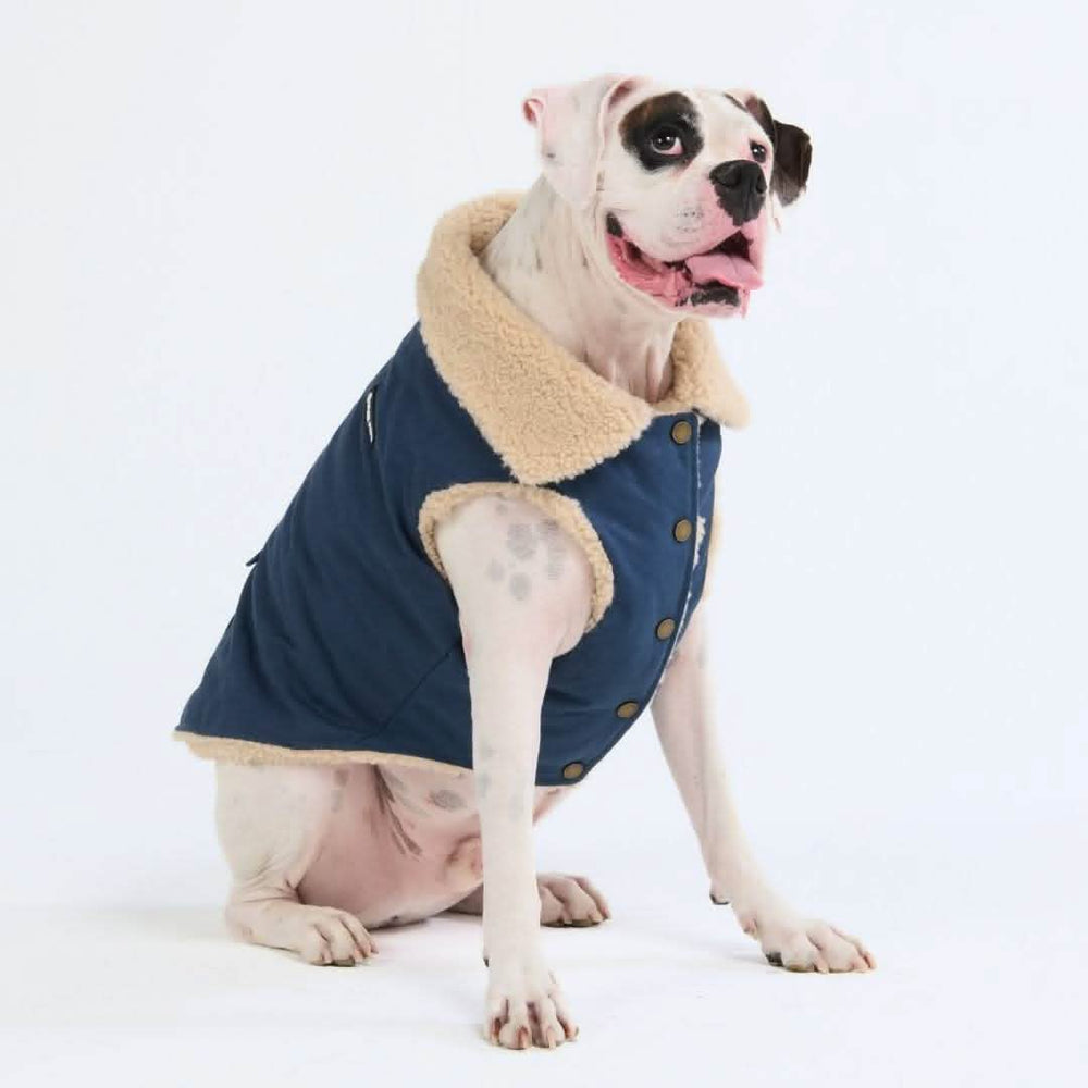 All-Terrain Duck Insulated Dog Jacket Coat – SPARK PAWS