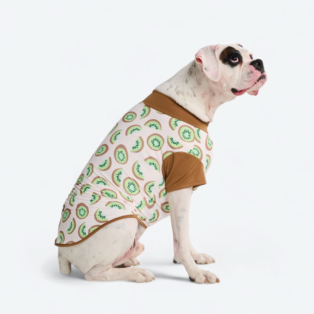 Sunblock Shirt - Kiwi – SPARK PAWS